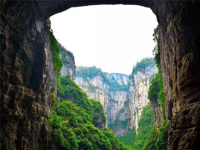 驾照考试要多久游戏画面